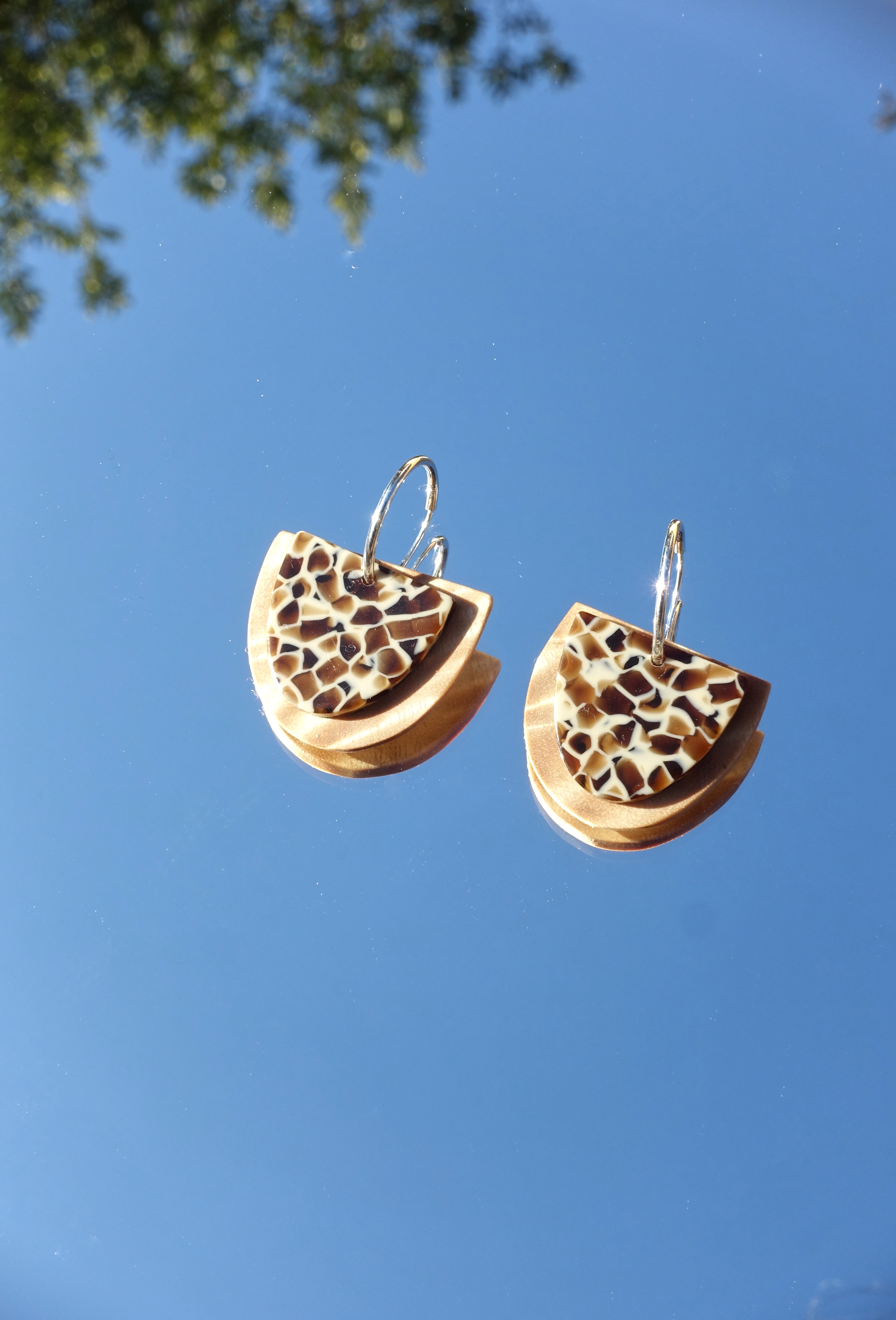 ΚΡΙΚΟΙ ΕΛΙΑΣ