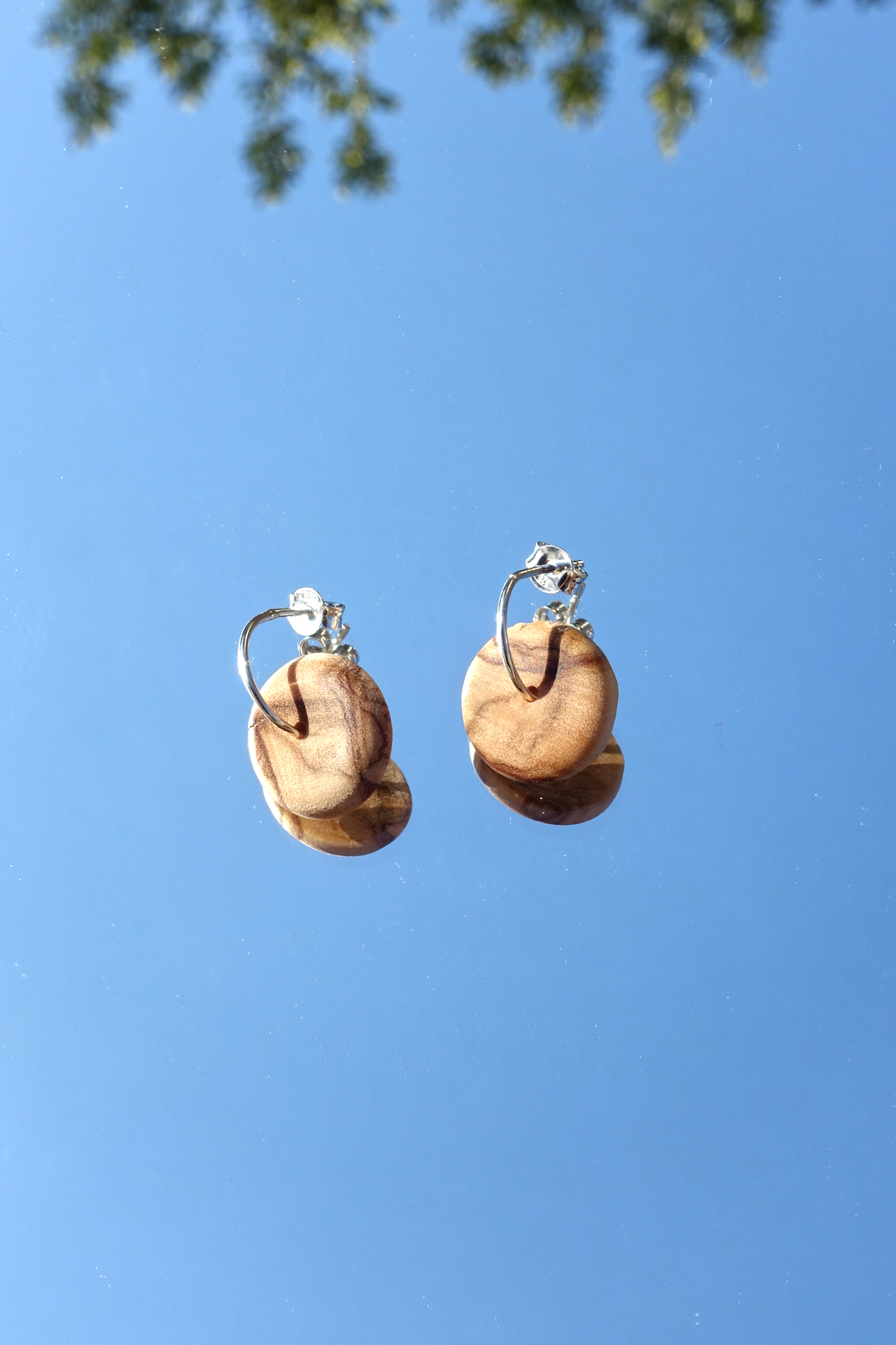 ΚΡΙΚΟΙ ΕΛΙΑΣ